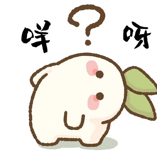 王浩楠
